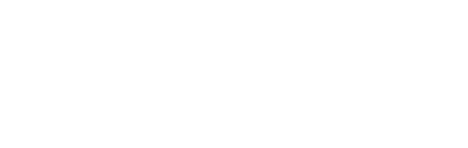 Východoslovenská energetika